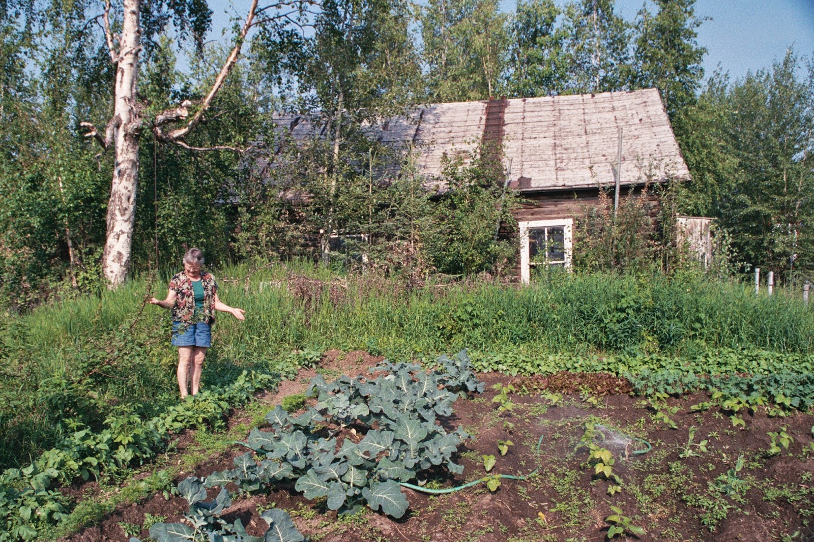 Great Gardens In Alaska Require Great Gardeners, And Warm Summers