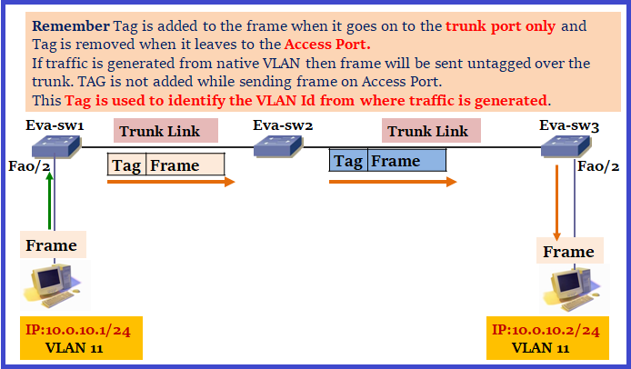 Trunk access. Native VLAN. Tagged Untagged VLAN разница. SW access VLAN. Тег Trunk порт.