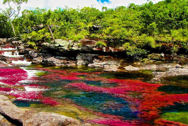 Fakta Unik Tentang Sungai Lima Warna di Dunia Fakta Unik Tentang Sungai Lima Warna di Dunia