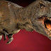 Tyrannosaurus Rex Was a Sensitive Lover, Scientists Find 