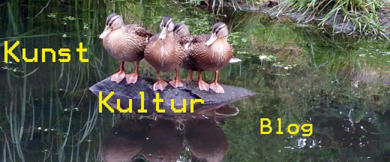 Salzburg Salzburg Card Ja Oder Nein Chamy Travels