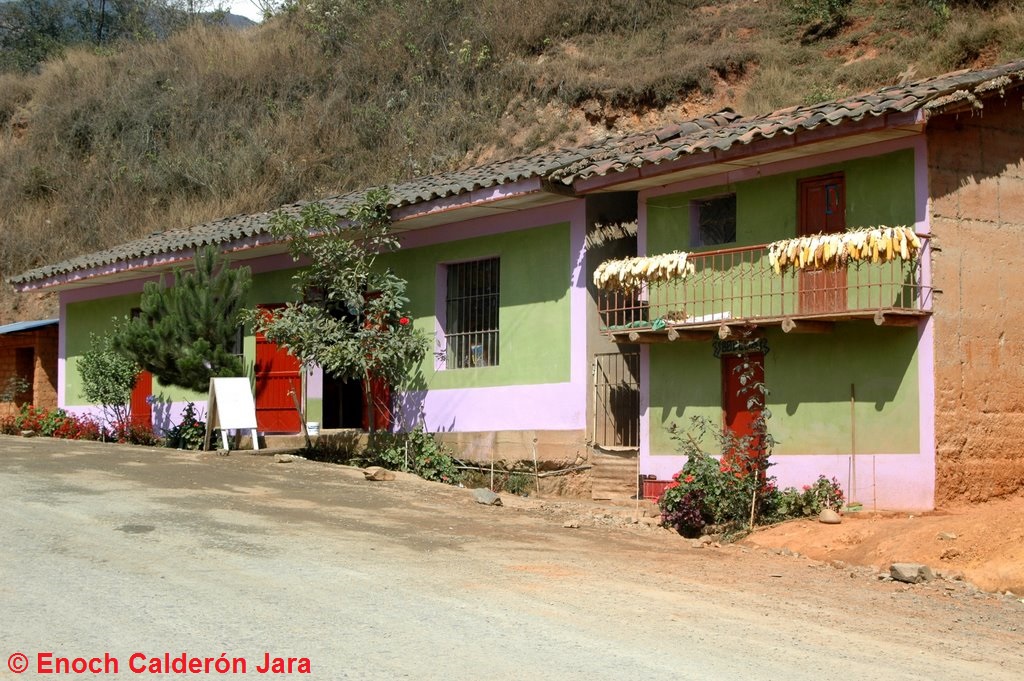 RESTAURANTE ANDINO Y PINTORESCO