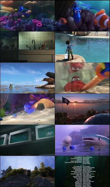 finding dory full movie in hindi free download hd finding dory full movie in hindi free download hd