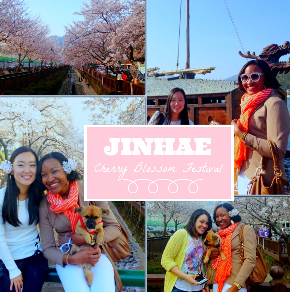 Festival Season Jinhae Cherry Blossom Festival FROVENTURES