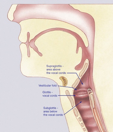 Throat Cancer Symptoms - Signs of Throat Cancer