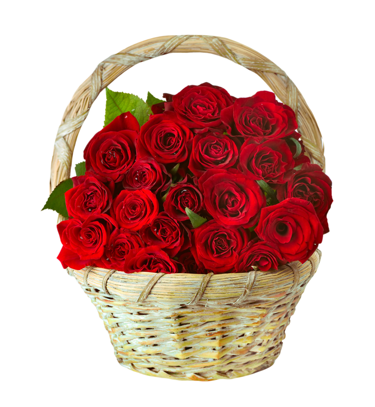 red roses in baskets