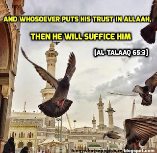 Islamic dp Quran quotes islamic dp for whatsapp