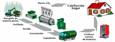 La biomassa