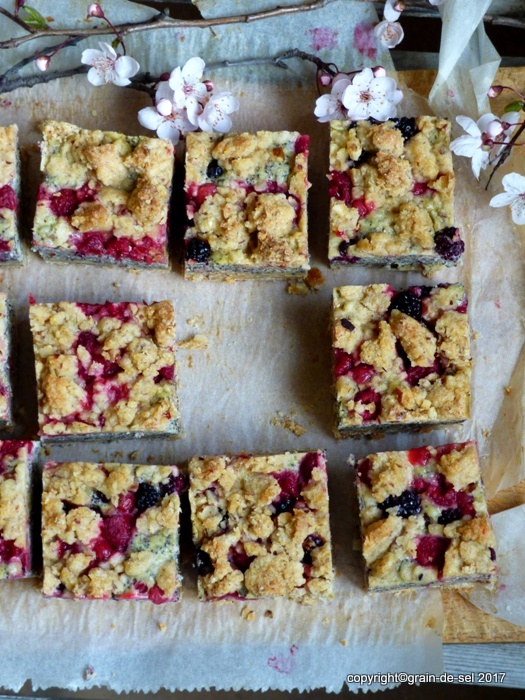 Salzkorn Meine Gartenkuche Quark