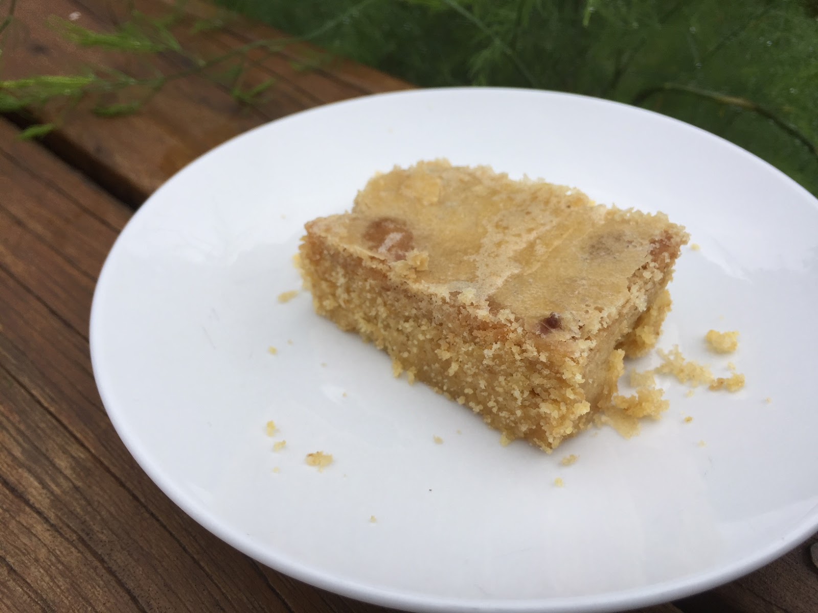 Craving Fresh Lowcarb Ginger Crunch (THM S recipe)