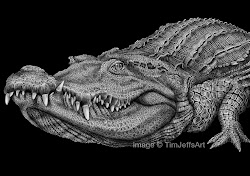 crocodile ink drawings tim jeffs drawing creatures pen animal paper timjeffsart alligator realistic dibujos sea crocodiles pencil artwork chameleon el