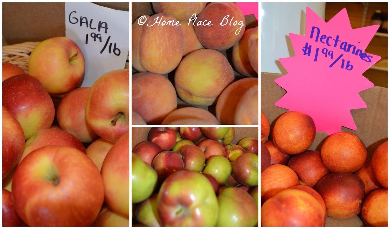 Home Place Cash Mob CT at Sunflower Farm in Orange CT