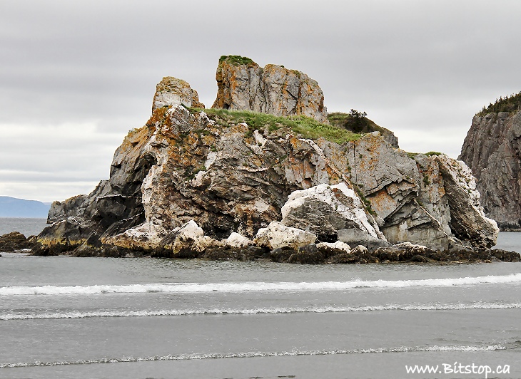 Bitstop Salmon Cove Beach