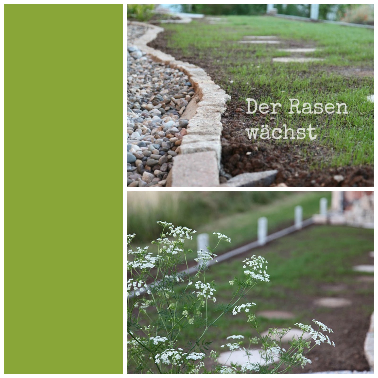 Do|Mi|s Garten: Juni 2014