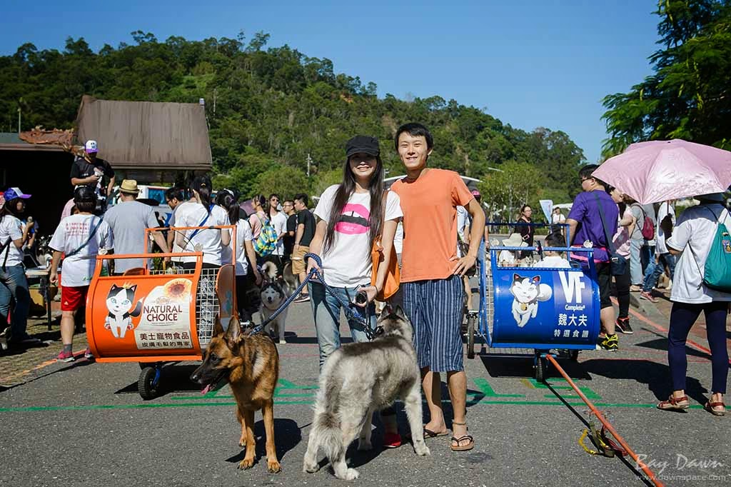 婚攝小動、婚攝推薦、活動紀錄、哈士奇、雪橇