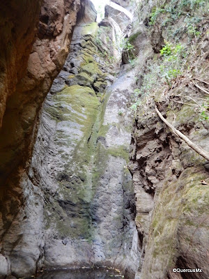 Cascada el Mante de ~15 metros