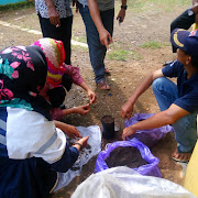 Tim KKN Undip Adakan Pelatihan Pembibitan dan Pembagian Bibit Pohon Sengon di Desa Sigayam 