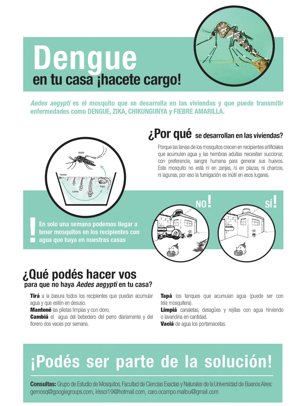 Campaña de prevención del Dengue