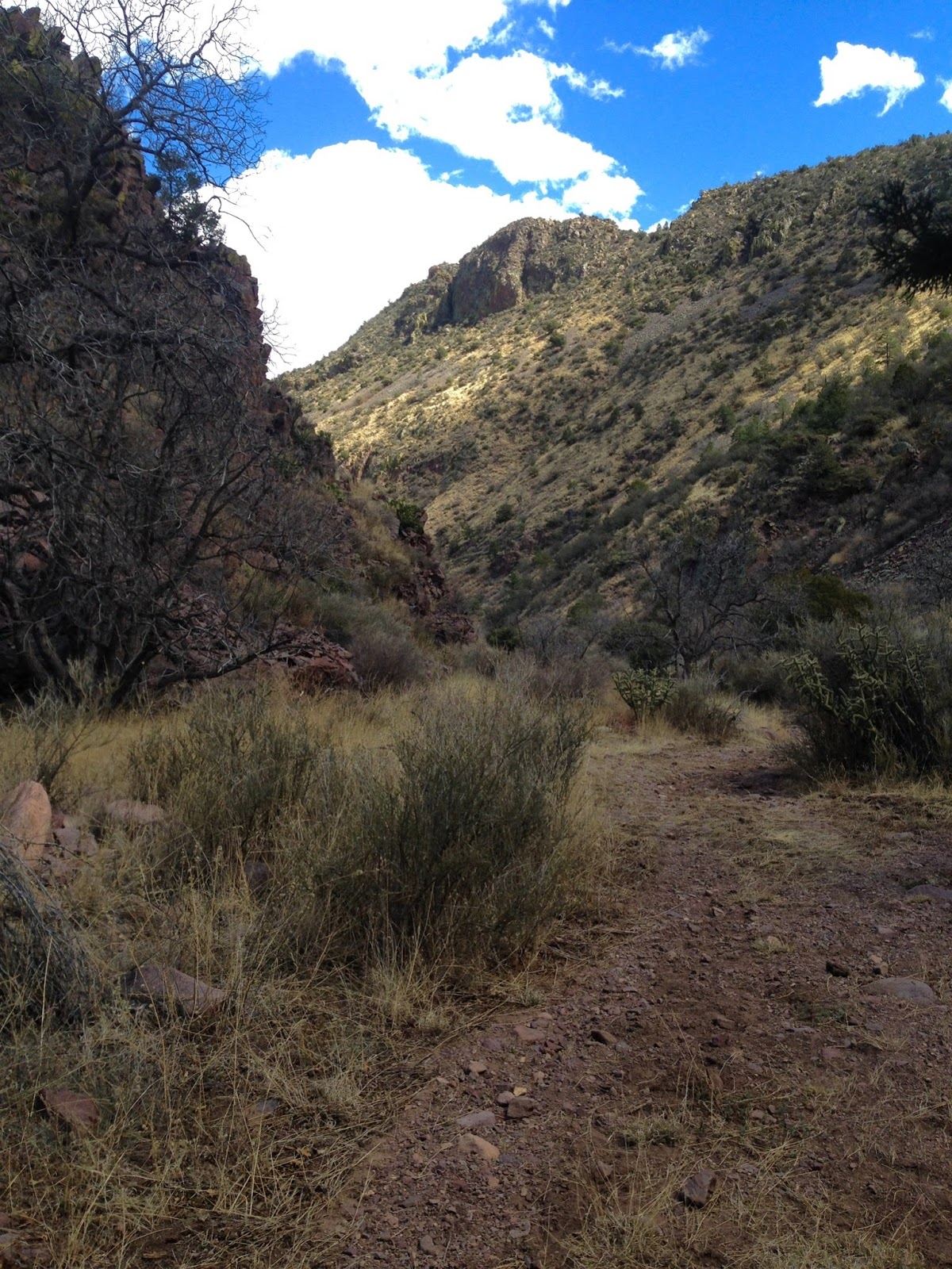 Southern New Mexico Explorer Sixmile Canyon, Magdalena Mountains