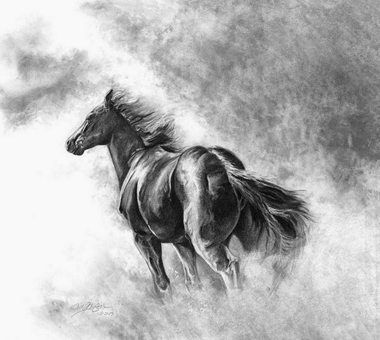 EL ARTE Y ACTIVIDAD CULTURAL: Tan poderosos y salvajes como en la realidad  cuadros de caballos pintados en óleo