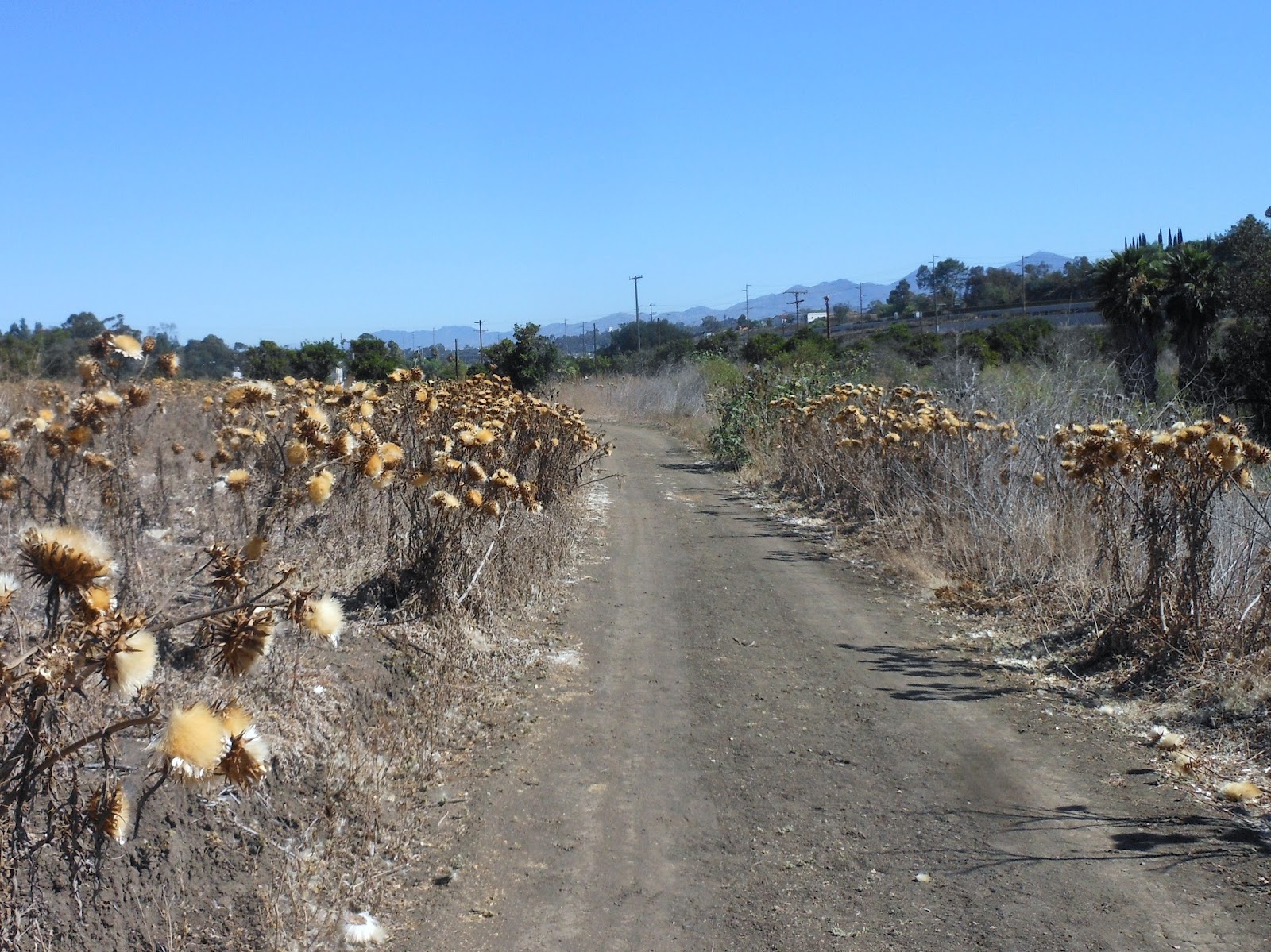 1000 Hikes in 1000 Days Day 655 Rancho Capistrano Eagles Soccer