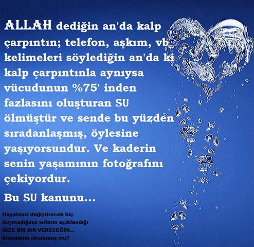 kitaplari umre gecesi sir ruya