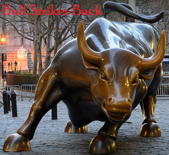 Bull Strikes Back Stocks 2014