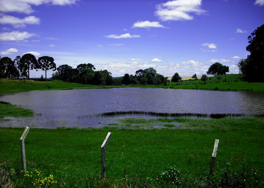 OLHANDO DA JANELA DO TREM: LAGOA VERMELHA / RIO GRANDE DO SUL (2.714