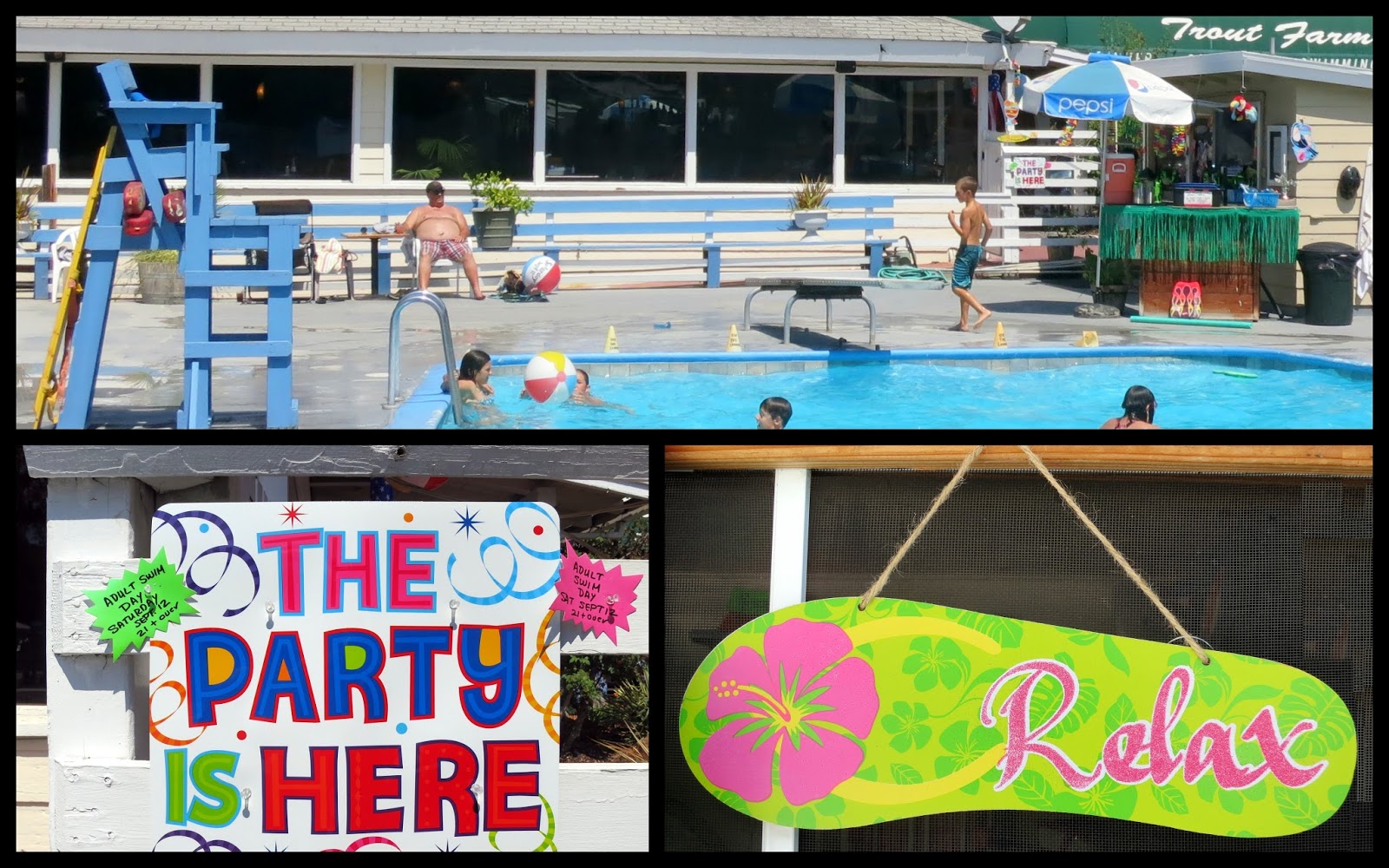 The Shouting Trout Farm Inn, We Hardly Knew Ye