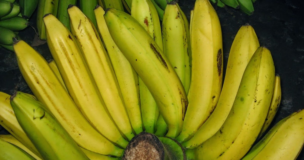 Khasiat dan Manfaat Buah Pisang bagi Kesehatan | Penuh Bermanfaat
