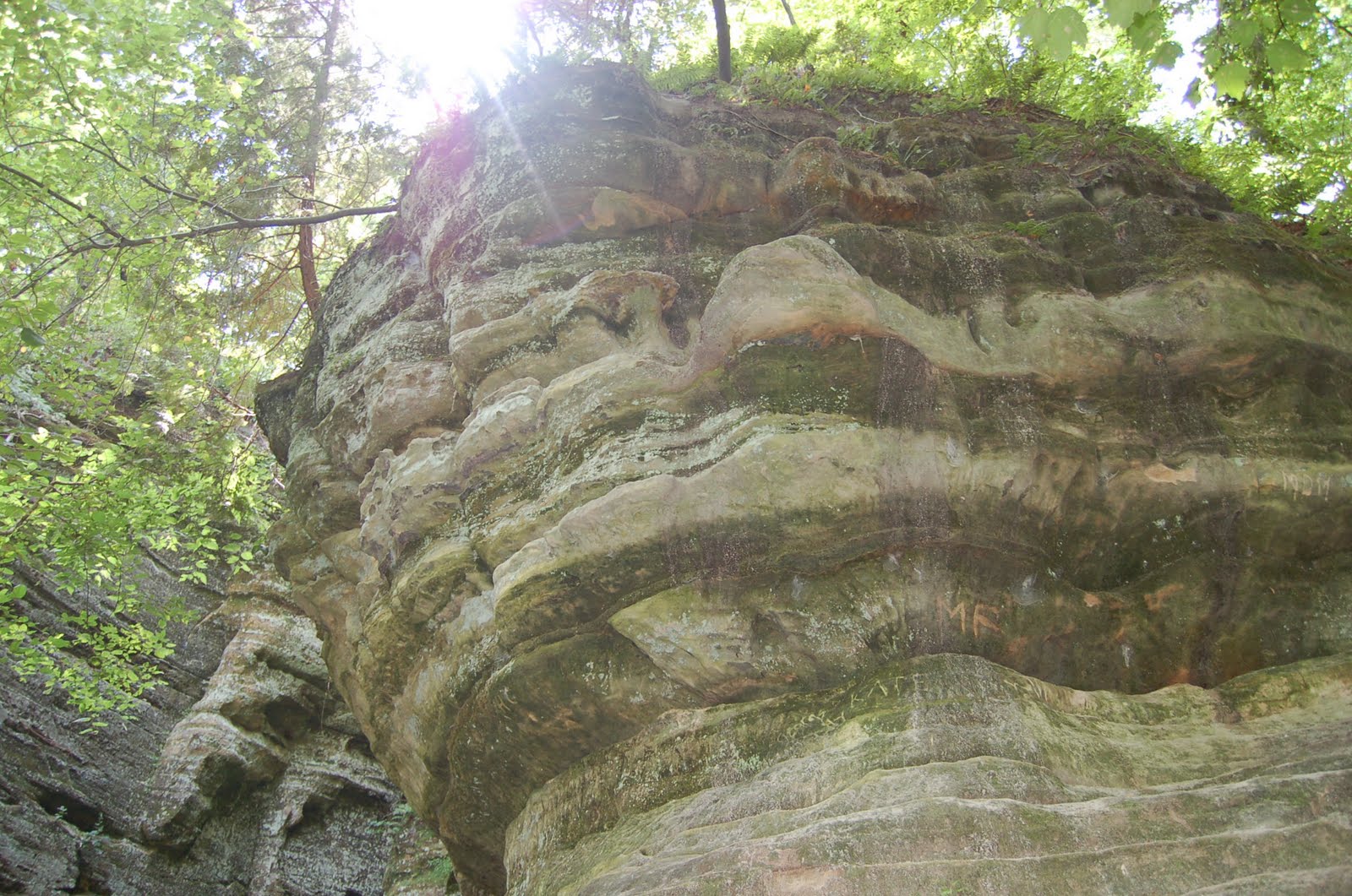 Domestic Observances: Starved Rock