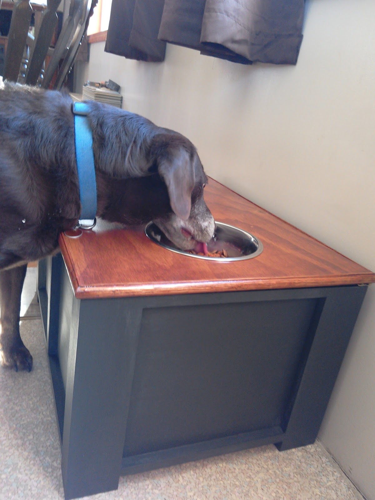 Saw It, Made it DIY Dog Food Storage Container