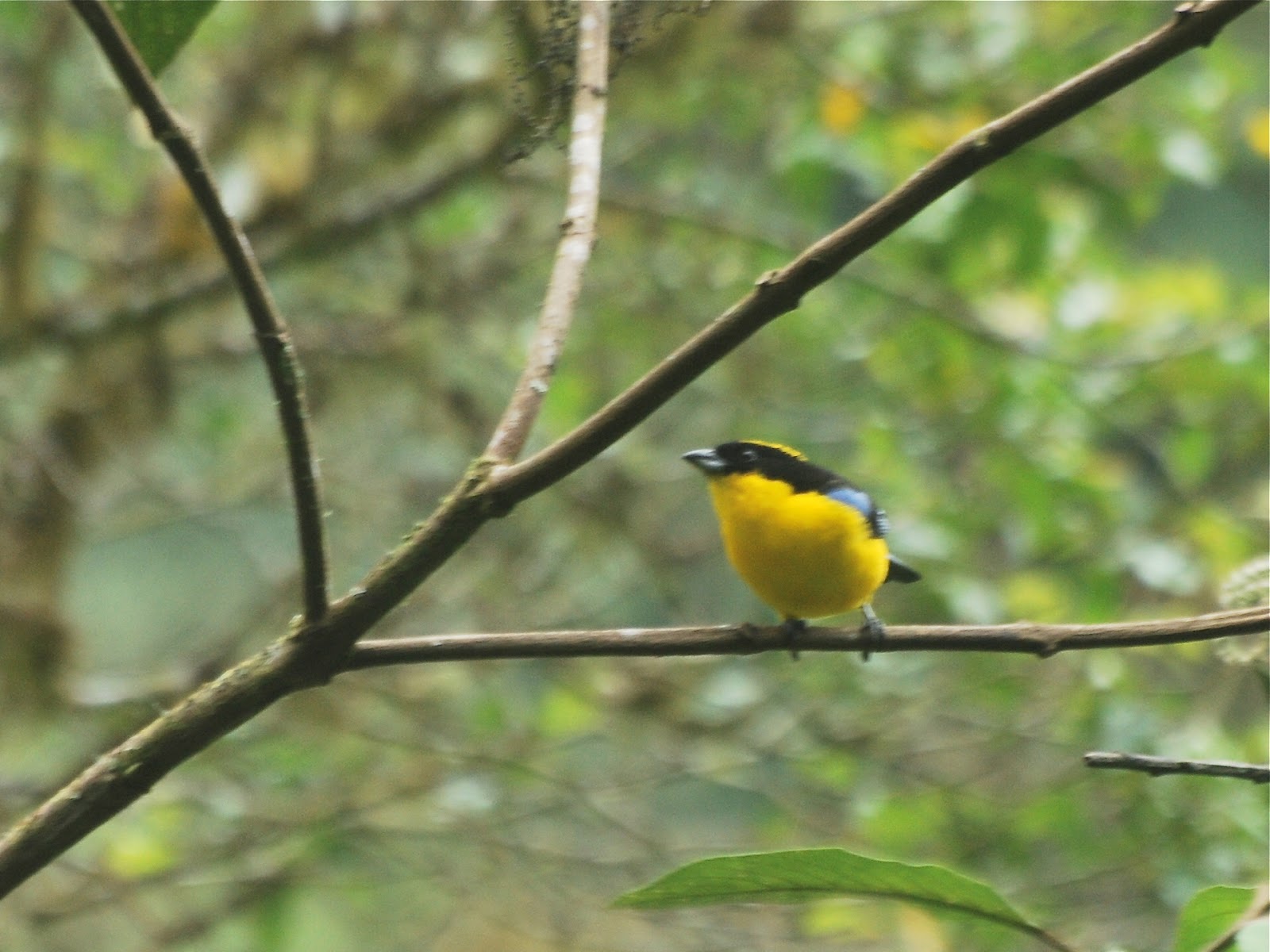 Jan Axel's Blog: Ecuador, here we go!