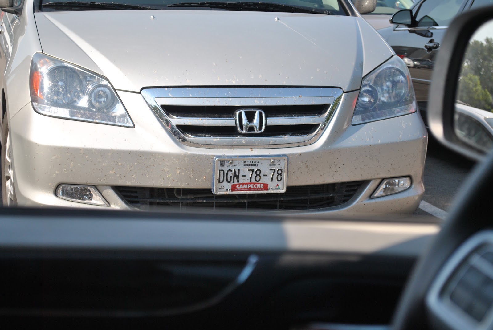 The T family travels Mexican License Plates