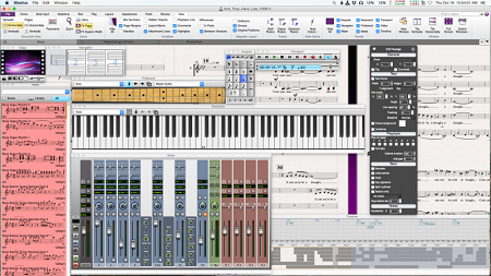 Sibelius 7 serial key or number