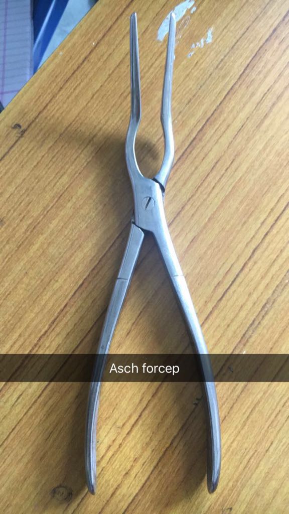 Medicowesome Asch S Forceps