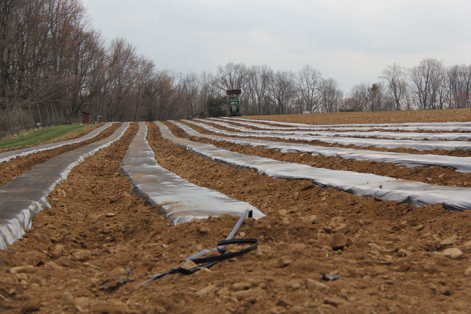 Stony Hill Farms CSA: Laying Plastic Mulch Beds