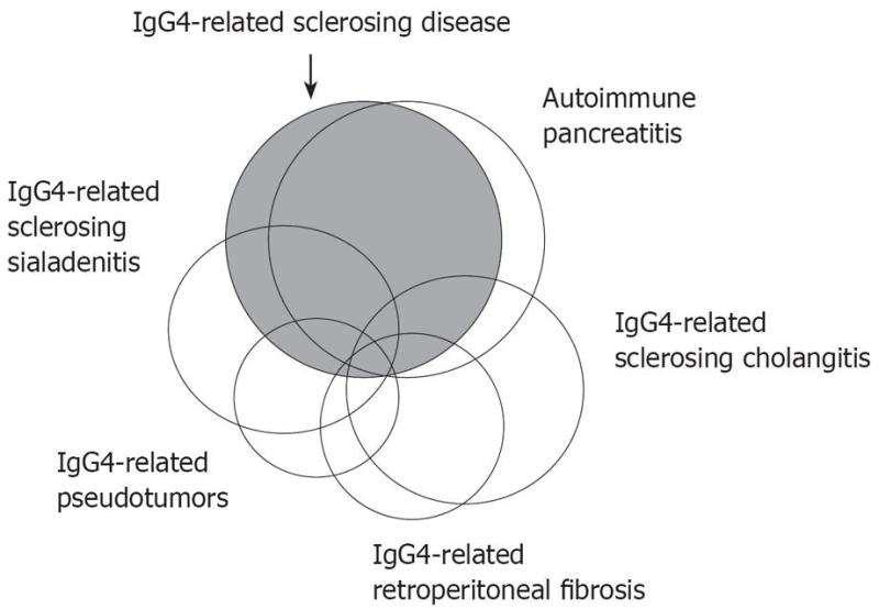 IgG4- related disease: an orphan disease with many faces ...