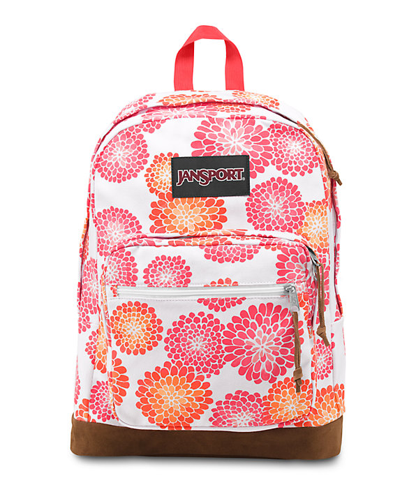 Converse & Cocoa Top 15 Backpacks
