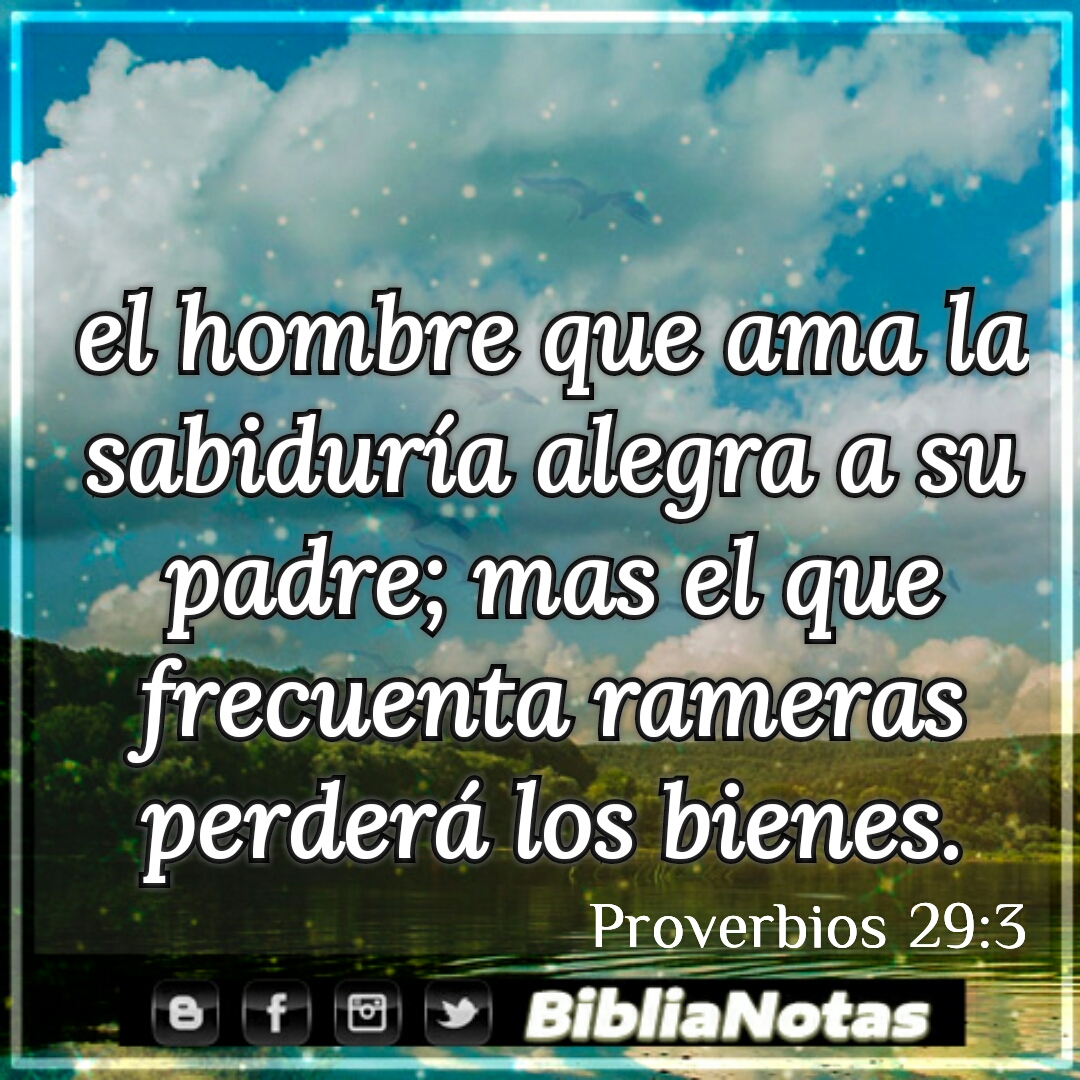 Ver las imágenes de origen