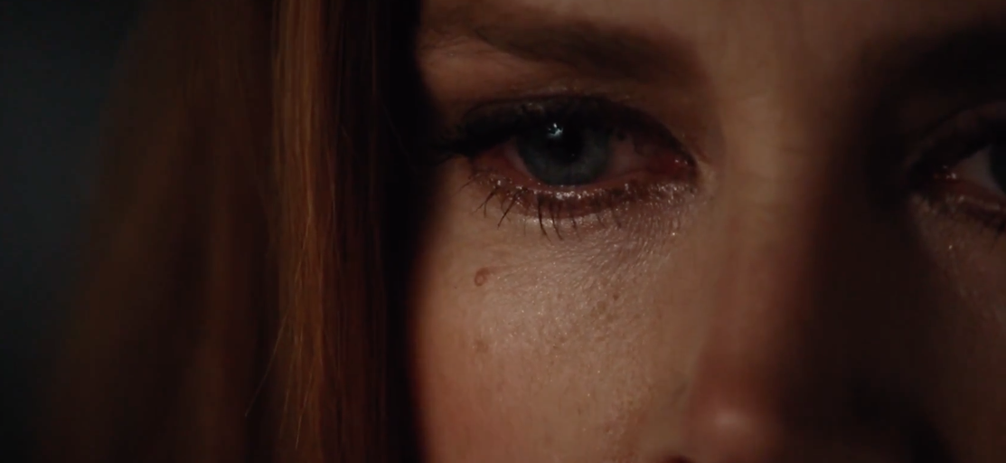 Nocturnal Animals (Interpretation and Review)