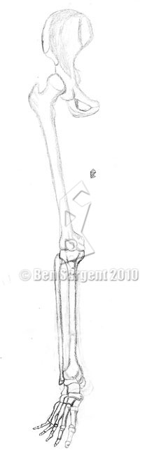 Ben Sargent's Art and Story Page: December 2010