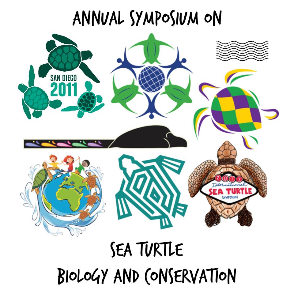 The Green Eye 38th INTERNATIONAL SEA TURTLE SYMPOSIUM in JAPAN