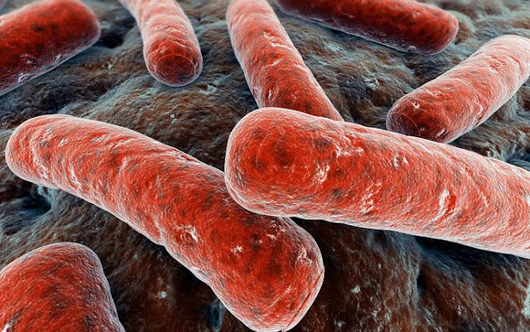 Bacteriología Bacteriología