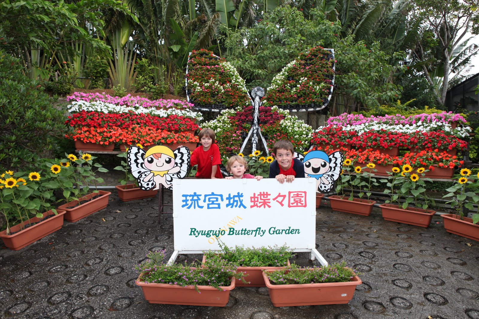 OUR LIFE AS AN AIR FORCE FAMILY Ryugujo Butterfly Garden Okinawa, Japan