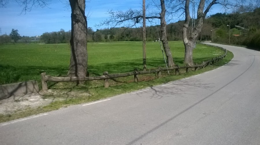 primavera