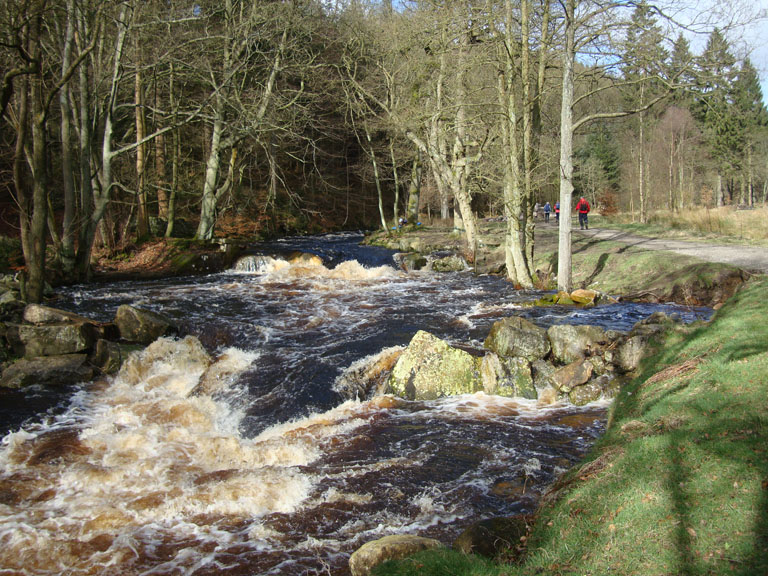 Dawn Sometimes An Ultrarunner Blubberhouses 25 Marshall's Walk, 25 Miles
