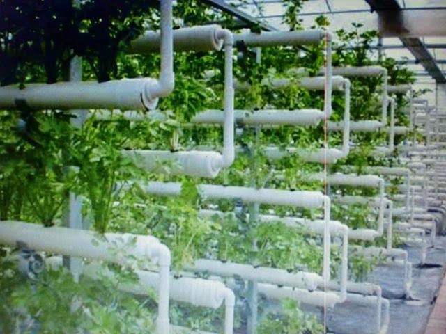 pilih model NFT yang anda suka untuk menanam sayuran hidroponik ~ cara