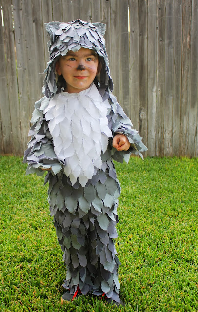 The ragged wren : Costumes