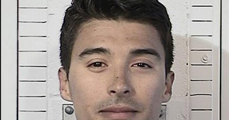 Welcome to NewsDirect411: Schwarzenegger Son To Be Freed From